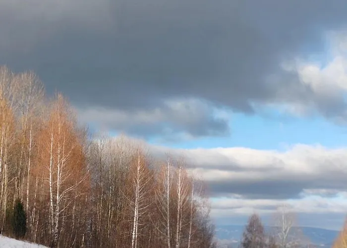 Mps Kopaonik-free * 카파오닉