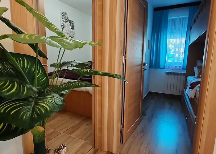 아파트 Mps Kopaonik-free